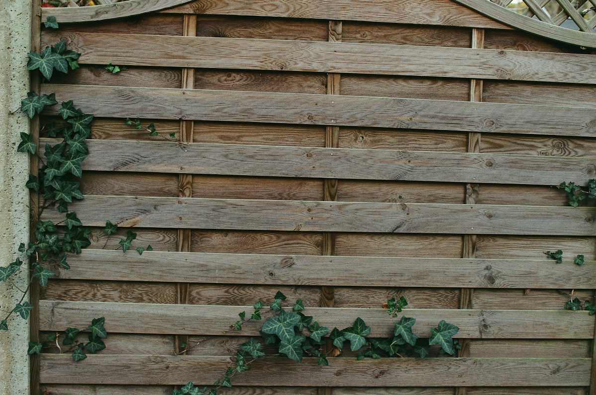 Houten tuinscherm met horizontale planken en klimop